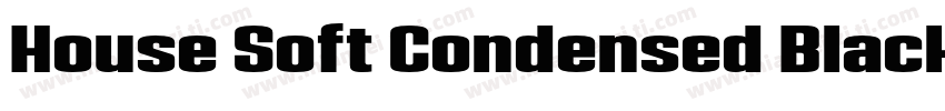 House Soft Condensed Black Italic字体转换